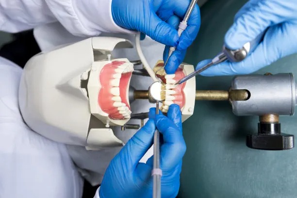 Essential Precautions and Guidelines to Follow Before Undergoing Root Canal Treatment for Optimal Dental Health Essential Precautions and Guidelines to Follow Before Undergoing Root Canal Treatment for Optimal Dental Health
