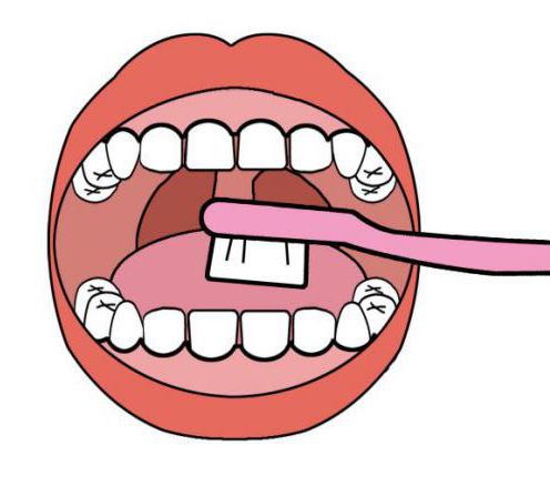 “口腔拖延症”嘅日常習慣，你有冇？